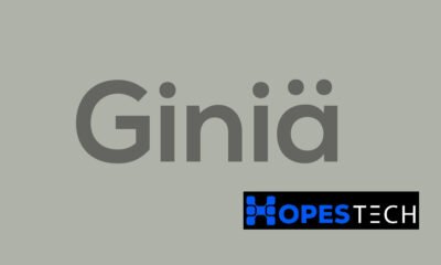 Giniä