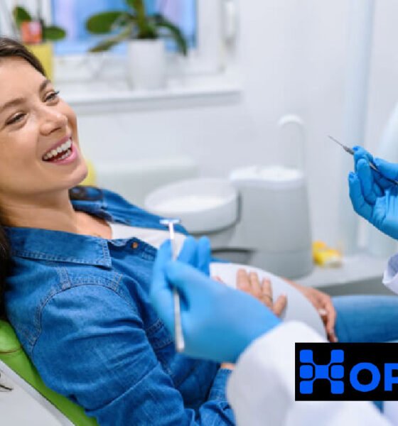 Nerovet AI Dental