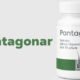 Pantagonar